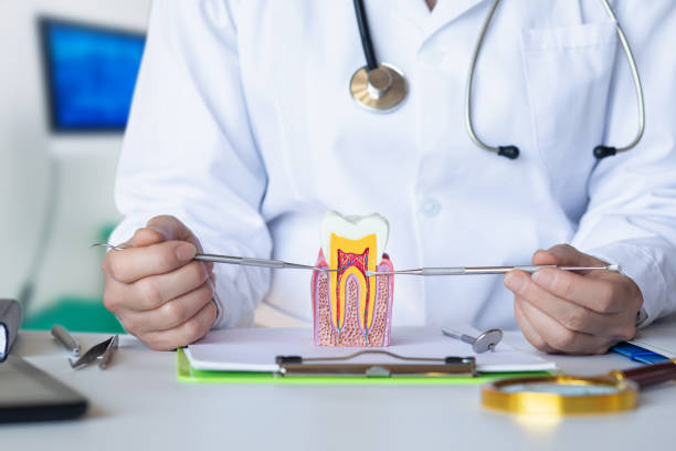 Best Emergency Denture Repair in South Uniontown, PA